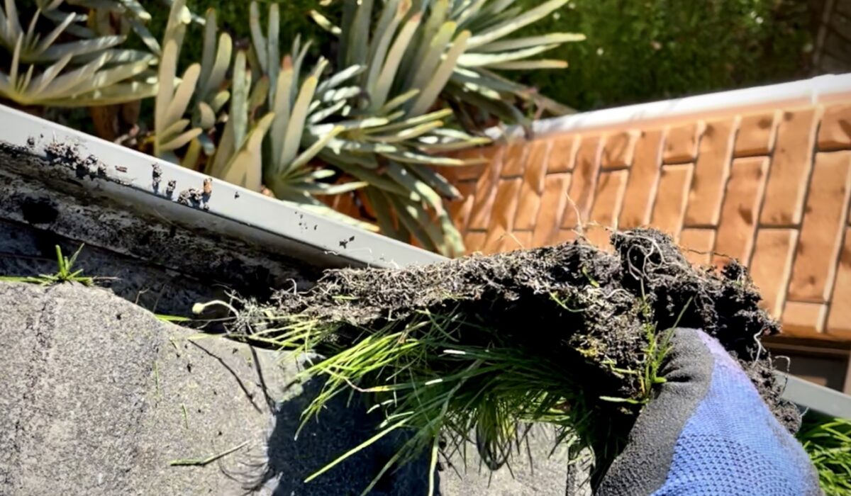 Gutter Cleaning