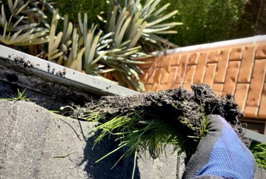 Gutter Cleaning