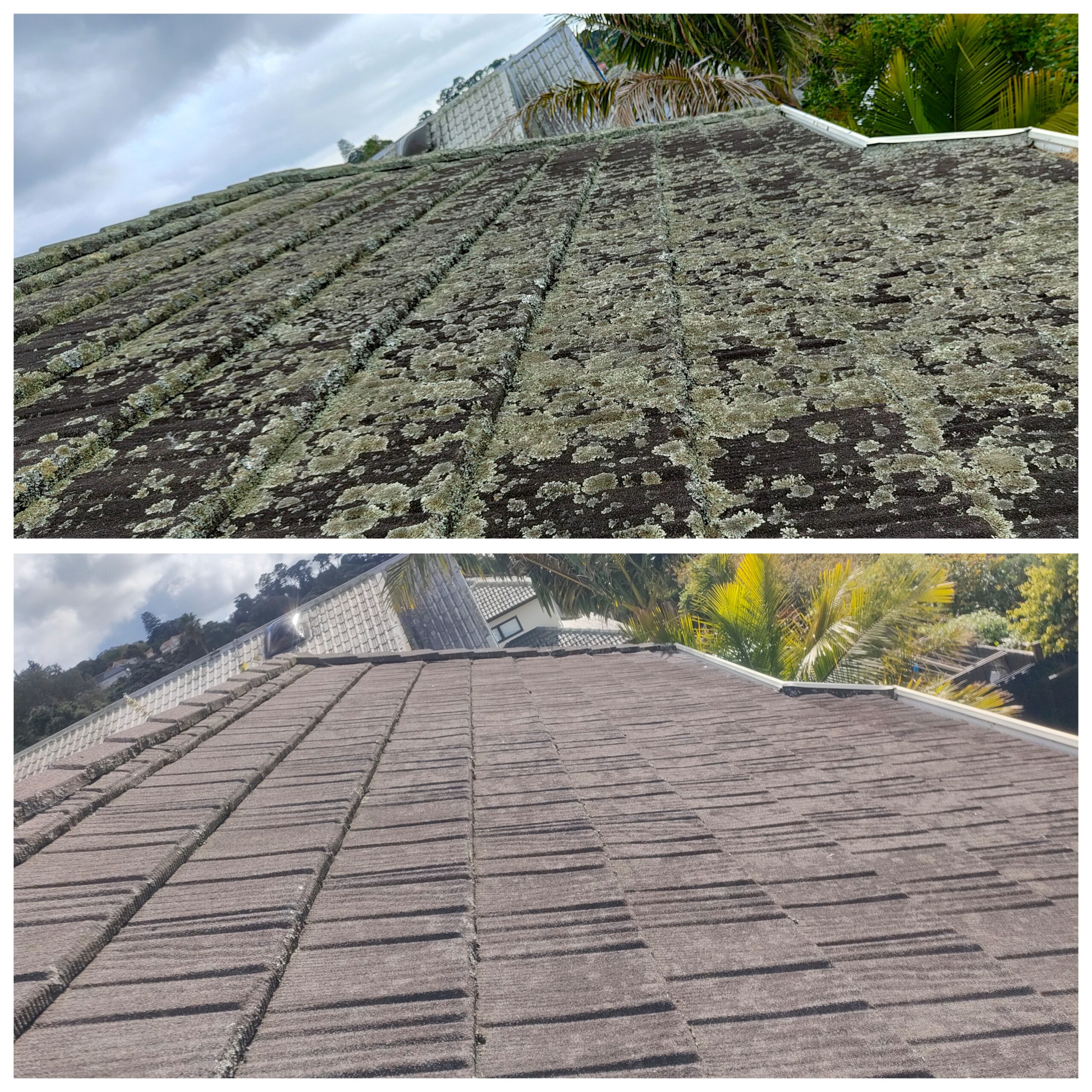 Roof Soft Washing