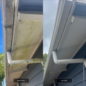 House Wash