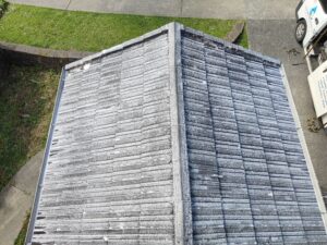 A specialised, biodegradable treatment is applied across the entire roof surface for a roof treatment service in Auckland