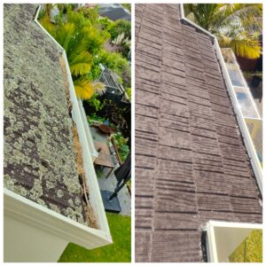 Left side shows a lichen-covered roof in Auckland; right side shows the same roof being treated