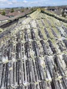 Close-up of residential roof in Auckland heavily covered with moss and lichen