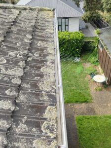 A section of tiled roof showing moss and lichen growth in Auckland