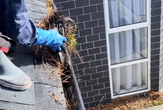 Gutter Cleaning