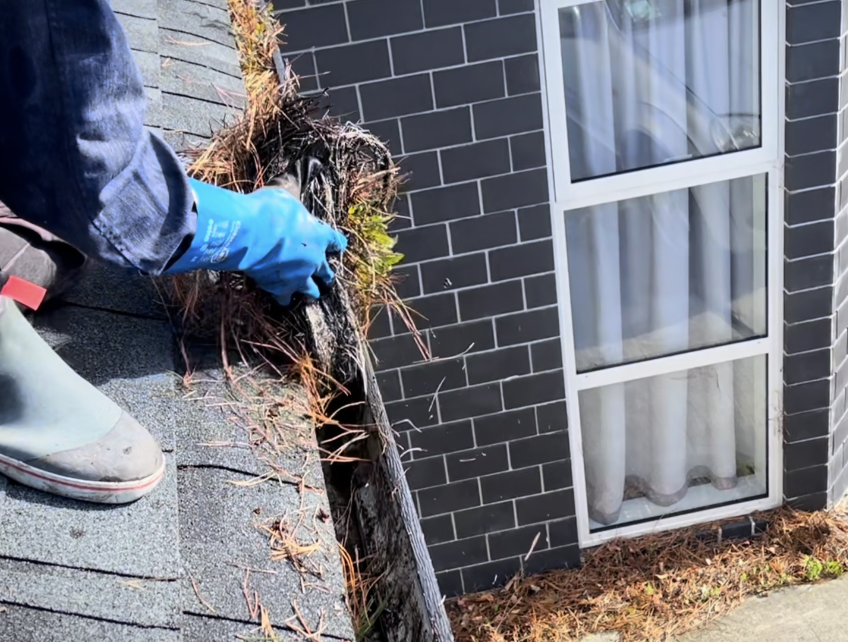 Gutter Cleaning